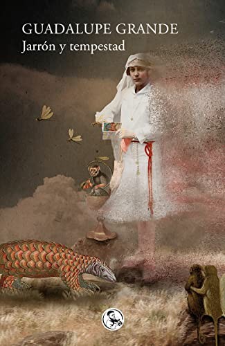 Cover for Jarrón y tempestad