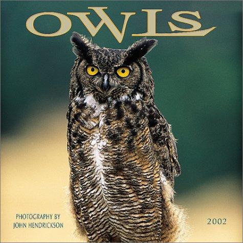 Cover for Owls 2002 Wall Calendar