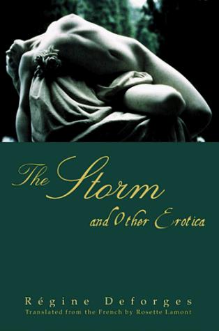Cover for The storm