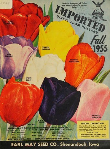 Cover for Imported direct from Holland, fall 1955