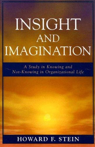 Cover for Insight and Imagination