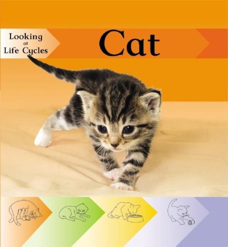 Cover for Cat