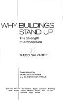 Cover for Why buildings stand up