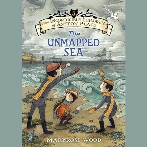 Cover for The unmapped sea