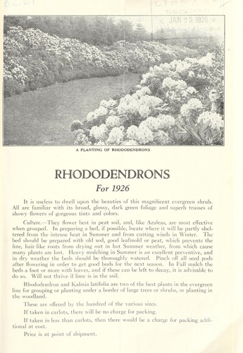 Cover for Rhododendrons for 1926