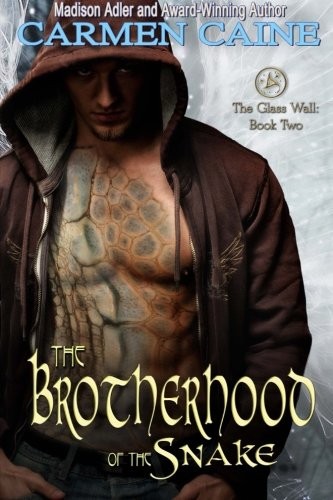 Cover for The Brotherhood of the Snake: The Glass Wall (Volume 2)