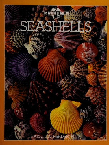 Cover for Seashells