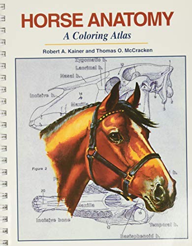 Cover for Horse Anatomy