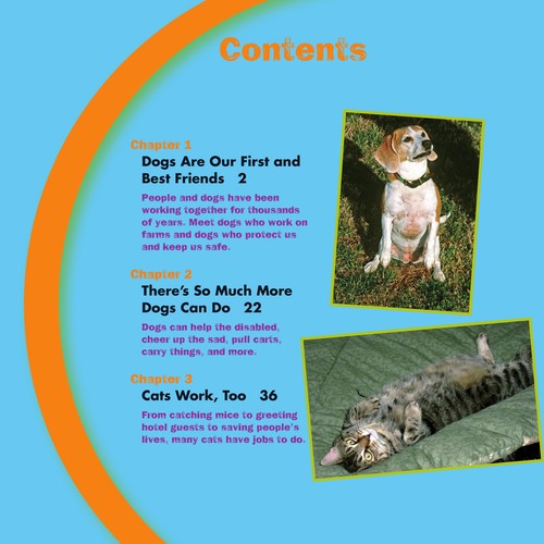 Cover for Animals at work