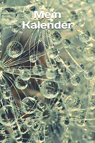 Cover for Mein Kalender