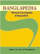 Cover for Banglapedia