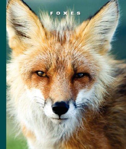 Cover for Foxes (World of Mammals)