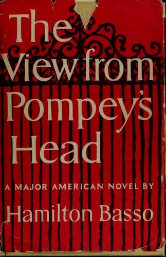 Cover for The view from Pompey's Head