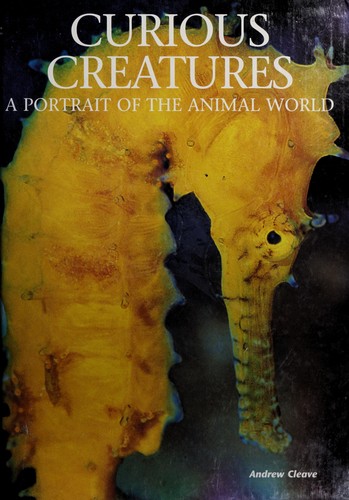 Cover for Curious Creatures