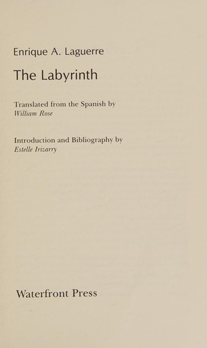Cover for The Labyrinth