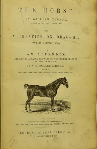 Cover for The horse