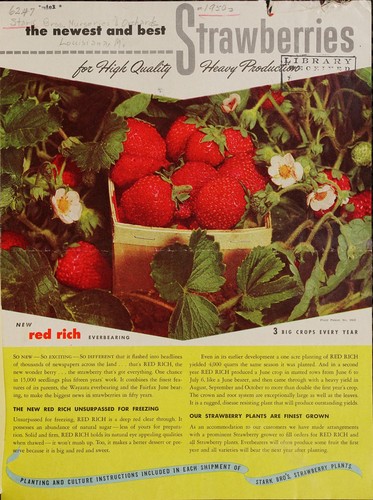 Cover for The newest and best strawberries for high quality heavy production