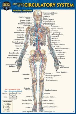 Cover for Anatomy of the Circulatory System (Pocket-Sized Edition - 4x6 Inches)