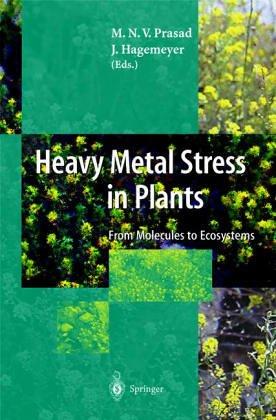 Cover for Heavy Metal Stress in Plants