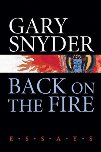 Cover for Back on the Fire