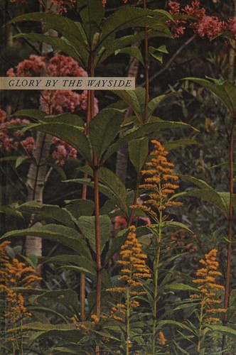Cover for Glory By The Wayside