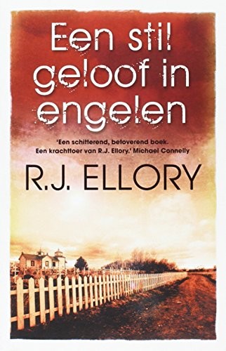 Cover for Een stil geloof in engelen