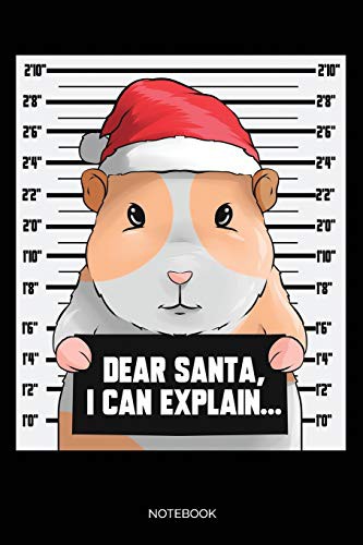 Cover for Dear Santa I Can Explain