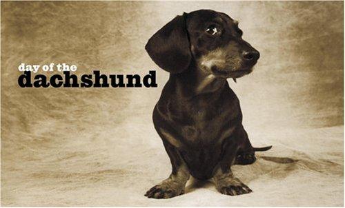 Cover for Day of the Dachshund Note Cards