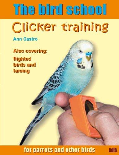 Cover for The bird school