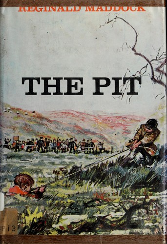 Cover for The pit.