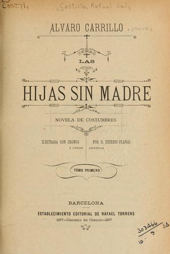 Cover for Las hijas sin madre
