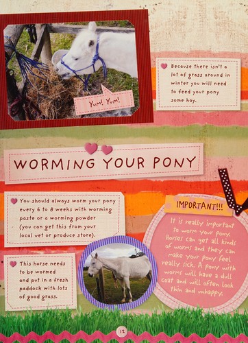Cover for My Best Pony Book