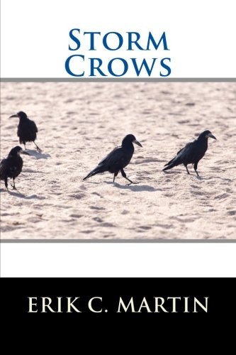 Cover for Storm Crows