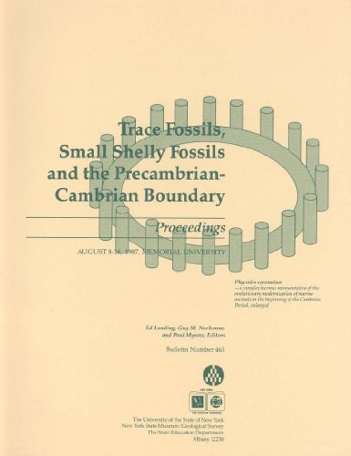 Cover for Trace fossils, small shelly fossils, and the Precambrian-Cambrian boundary