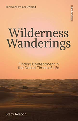 Cover for Wilderness Wanderings