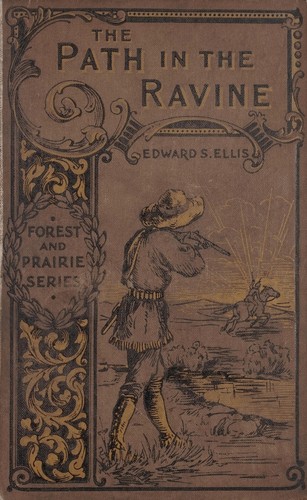 Cover for The path in the ravine
