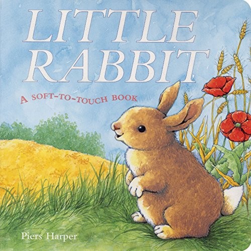 Cover for Little Rabbit
