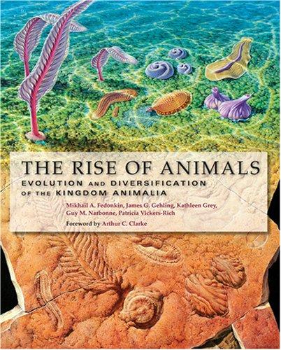 Cover for The Rise of Animals