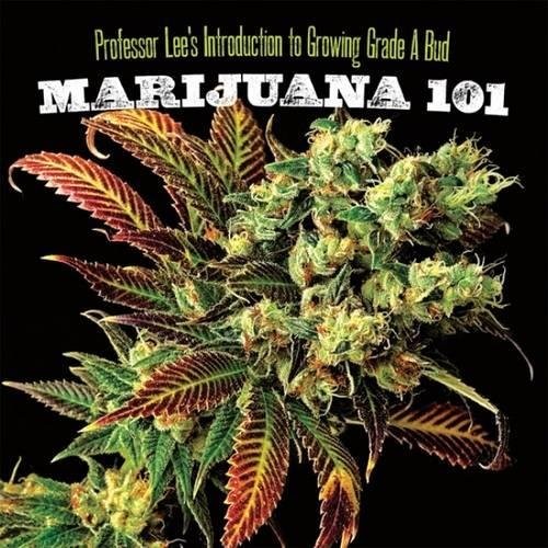 Cover for Marijuana 101