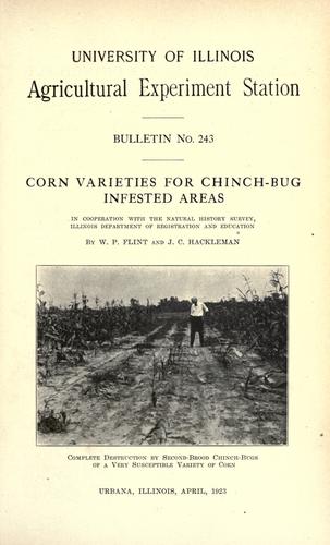 Cover for Corn varieties for cinch-bug infested areas