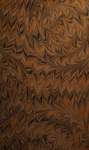 Cover for The Puritan Pronaos