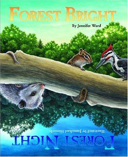 Cover for Forest  Bright,  Forest Night (Sharing Nature With Children Book)