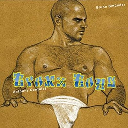 Cover for Bronx Boys