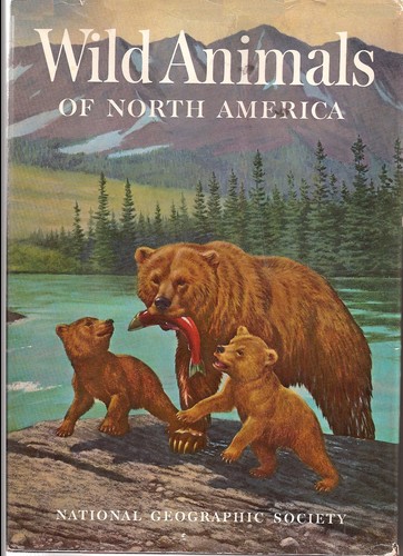 Cover for Wild animals of North America