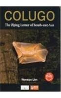 Cover for Colugo
