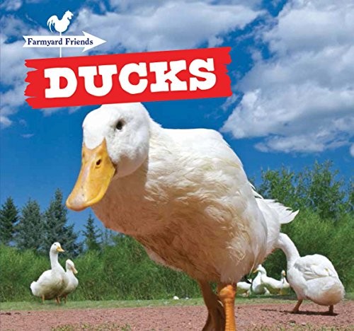 Cover for Ducks