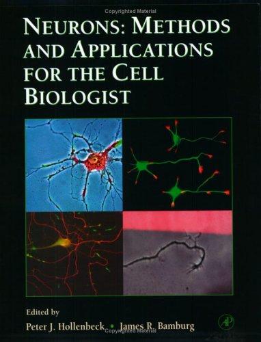 Cover for Neurons