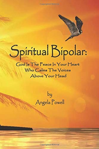 Cover for Spiritual Bipolar