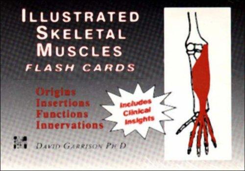 Cover for Illustrated Skeletal and Muscle Flash Cards