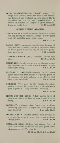 Cover for Rhododendrons and azaleas, spring 1956